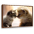 Quadro Decorativo Gatos 643410787 - Visual Quadros