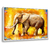 Quadro Decorativo Elefante 30 - comprar online