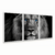 Quadro Decorativo Composição 3 Telas Leão do Olho Azul - Visual Quadros
