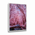 Quadro Decorativo Flor Rosa - comprar online