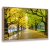Quadro Decorativo Corredor de Arbustos