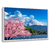 Quadro Decorativo Monte Fuji - comprar online