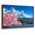 Quadro Decorativo Monte Fuji - Visual Quadros