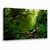 Quadro Decorativo Natureza Floresta - comprar online