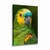 Quadro Decorativo Papagaio-Verdadeiro - comprar online