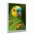 Quadro Decorativo Papagaio-Verdadeiro - Visual Quadros