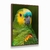 Quadro Decorativo Papagaio-Verdadeiro na internet