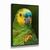 Quadro Decorativo Papagaio-Verdadeiro