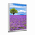 Quadro Decorativo Campo Roxo
