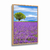 Quadro Decorativo Campo Roxo na internet