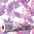 Papel de Parede Adesivo Floral Folhas - comprar online