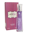 PAULVIC INDIGO (1055)(170)
