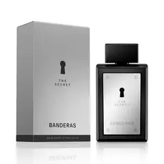 THE SECRET x100ml (0641) - comprar online