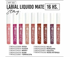 BRILLO LABIAL MATE STARY 16HS (263) [aclarar colores por whatsapp]