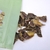Moela Crocante - Pet Bem - comprar online
