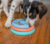 Comedouro funcional Filhotes e Cães Pequenos - Lickin' Layers - Outward Hound - MUNDOG SHOP