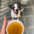 Caldo de ossos de porco desidratado - 100g - rende 2l - Pet Naturau - comprar online