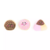 Pelúcia Interativa - Burrow - Pan Dulce Box - Zippy Paws - comprar online