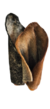 Preciosa - Orelha Bovina - 1 un - Alecrim Pet - comprar online
