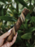 Natuka Buba - Pele de Búfalo sem pelos - 1un - comprar online