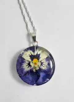 Flora XVII