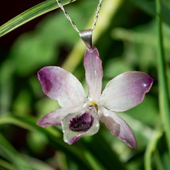 Dije Orquidea