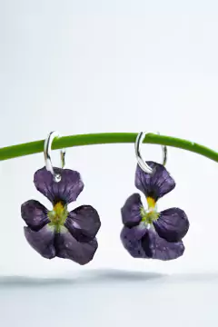 Aros Flora VII en internet