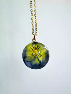 Flora IV