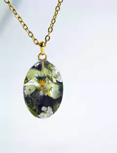 Pradera III en internet