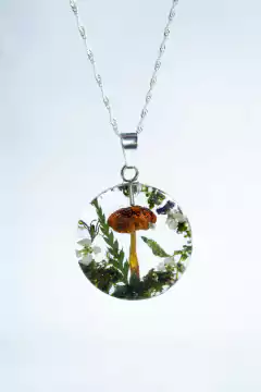 Dije Fungi I en internet