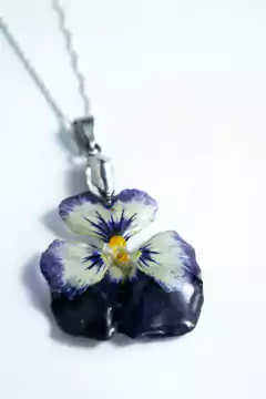 Flora VIII - comprar online