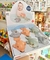 Animalitos Marinos Nadadores a Cuerda - comprar online