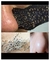 Mascarilla Facial Puntos Negros X10 Unidades Limpieza Belleza en internet