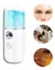 Mini Humidificador Portátil Vaporiza Facial Usb Recargable en internet
