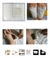 Parche Desintox Pies Kinoki Caja 10 Parches Kinoki Natural - tienda online