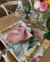 Imagen de Kit de Mesa Puesta Holanda