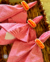 Kit Servilletas Cuadrille y Porta Servilletas Hot Dog