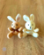Porta Servilletas Conejo de Peluche (pareja)