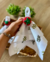 Servilleta de Tela 100% algodón estampada Toscana - tienda online