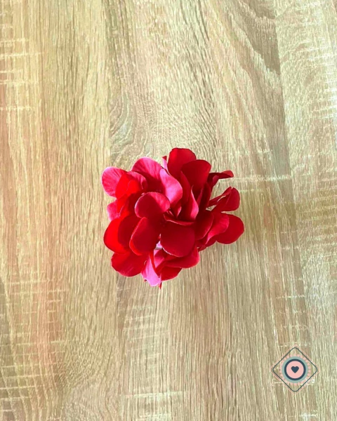 Porta Servilletas Hortensia Roja