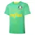 camisa-palmeiras-treino-23-24-torcedor-Fan-masculino-
puma-verde e amarelo-verdao-porco-america do sul-brasil-brasileirao-serie a-copa do brasil-libertadores