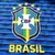 camisa-seleçao brasileira-i-away-24-25-torcedor-torcedora-Fan-femenina-nike-azul e branco-brasil-amarelinha-america do sul-copa america-versao jogador