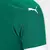 camisa-palmeiras-i-home-25-26-torcedor-Fan-masculino-puma-verde e branco-verdao-porco-america do sul-brasil-brasileirao-serie a-copa do brasil-libertadores