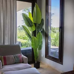 PLANTA STRELITZIA ARTIFICIAL 220CM - comprar online