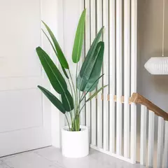 PLANTA AVE DE PARAISO ARTIFICIAL 160CM - comprar online
