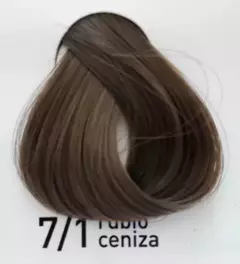 Imagen de Tintura en crema COLORMASTER FIDELITE pomo 60gr