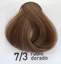 Tintura en crema COLORMASTER FIDELITE pomo 60gr