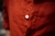 Imagen de Camisa CREE