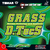 Borracha Tibhar GRASS D. Tecs OX Pino Longo Vermelho