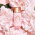 BT SÉRUM PEONY